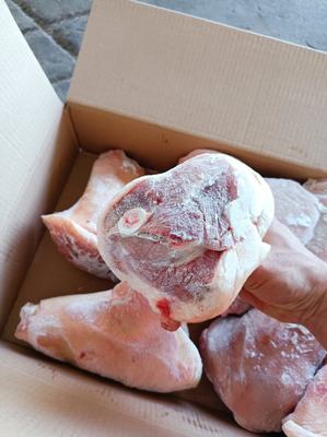 山東臨沂蘭山區豬副產品批發概覽 優質豬肘子，價格親民